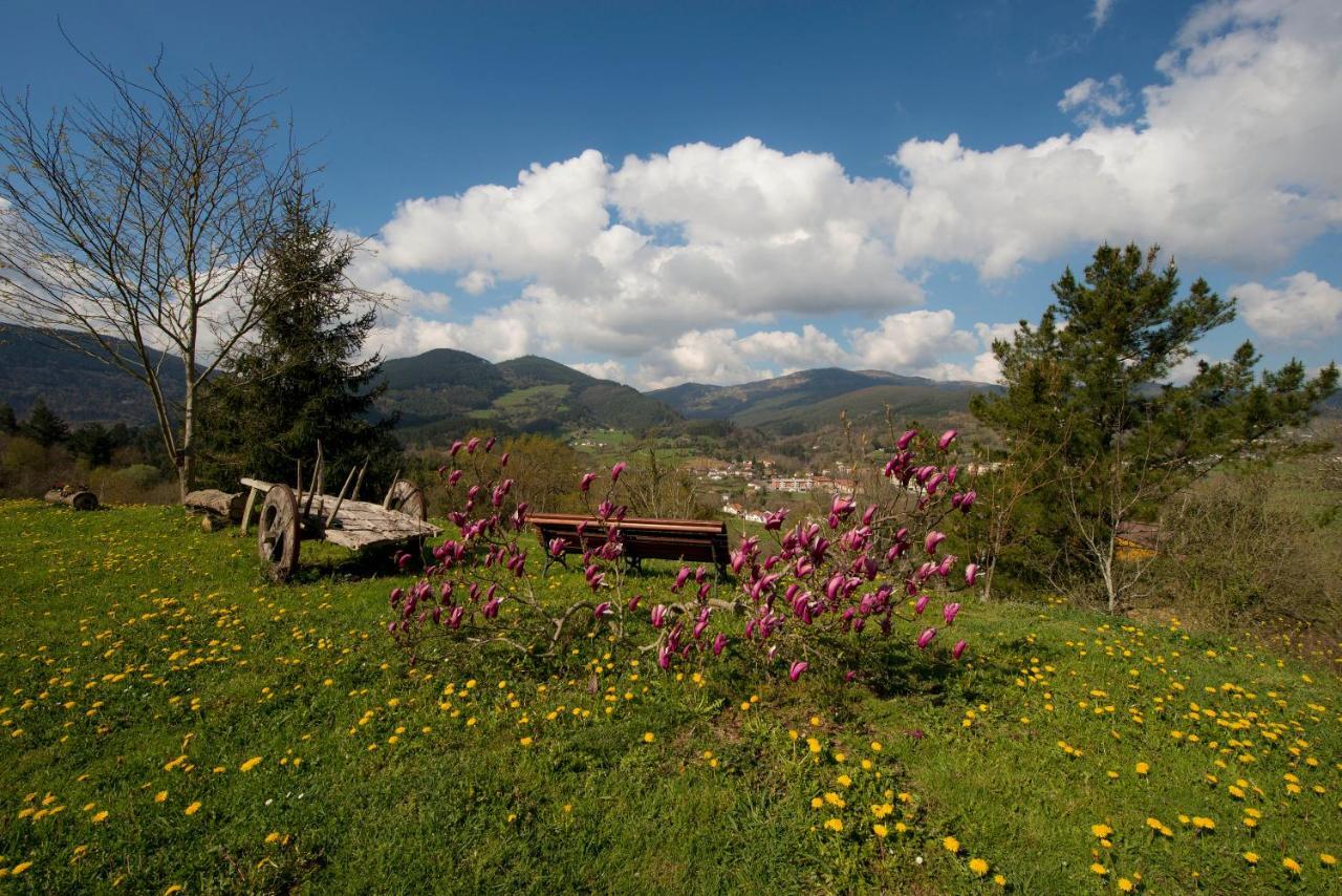 Apartamentos Turisticos Bizkar Bare 소푸에르타 외부 사진