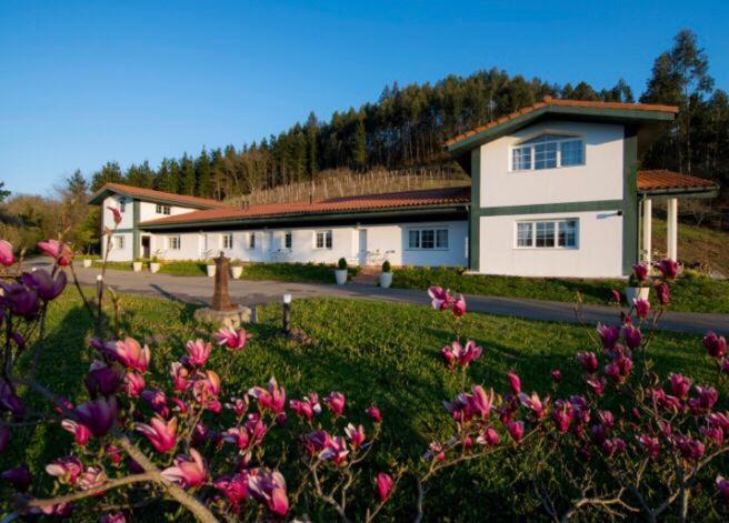 Apartamentos Turisticos Bizkar Bare 소푸에르타 외부 사진
